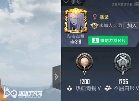 和平精英《魔法》辅助